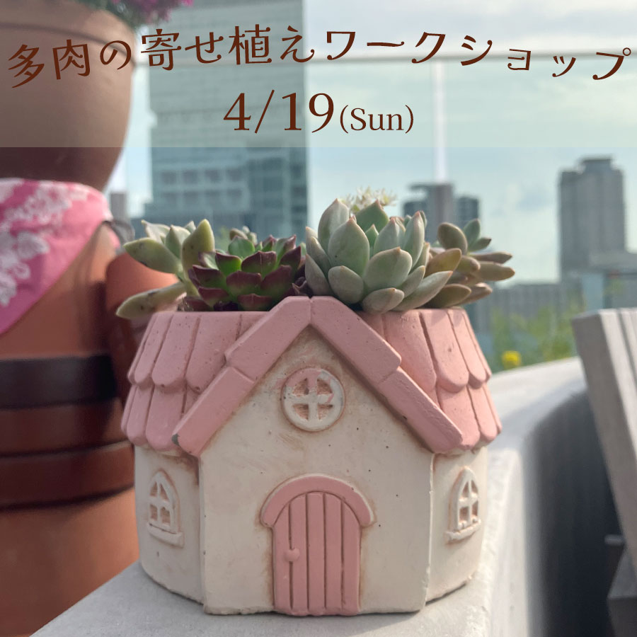 【4/19(日)開催】多肉の寄せ植えワークショップ