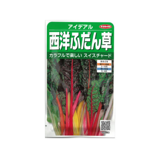 サカタのタネ 西洋ふだん草