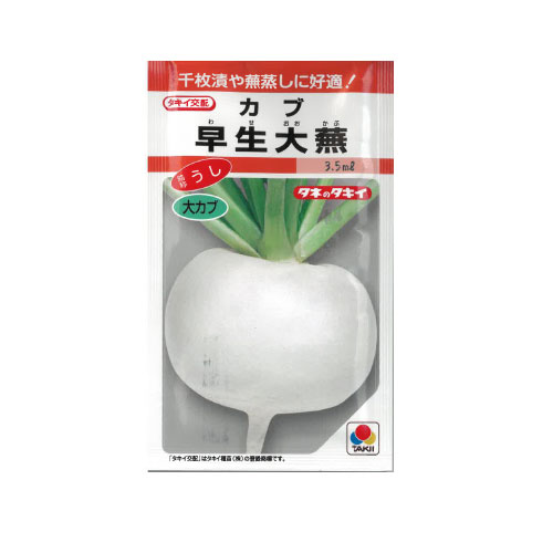 早生大蕪