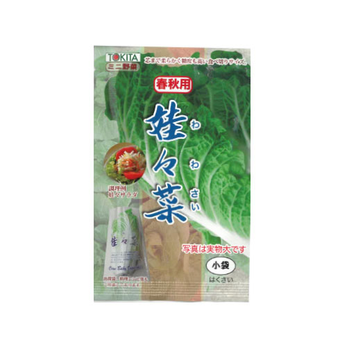 娃々菜 ハクサイ