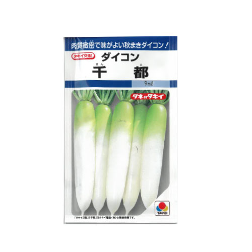 タキイ種苗 千都 ダイコン