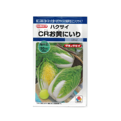 タキイ種苗 CRお黄にいり ハクサイ