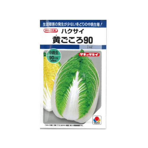 タキイ種苗 黄ごころ90 ハクサイ