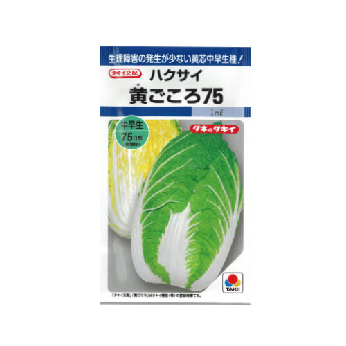 タキイ種苗 黄ごころ75 ハクサイ