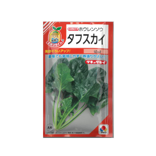 タキイ種苗 タフスカイ ホウレンソウ 40ml