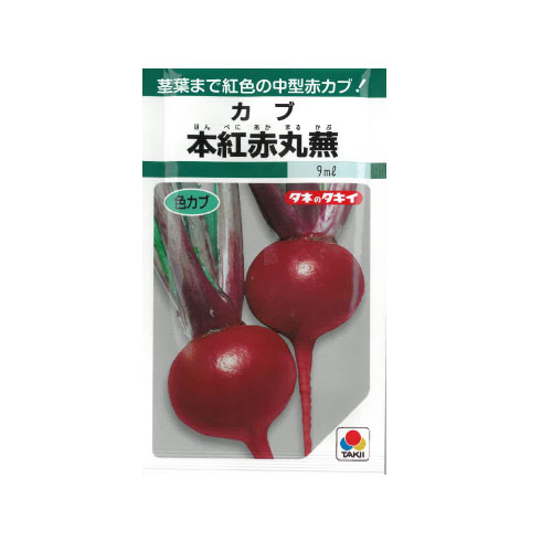 タキイ種苗 本紅赤丸蕪