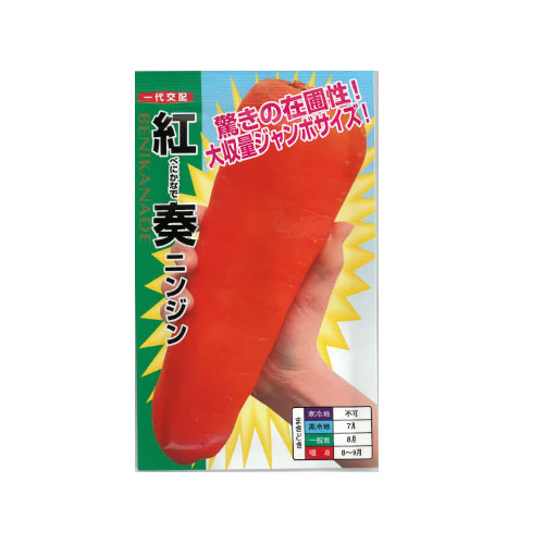 紅奏 ニンジン