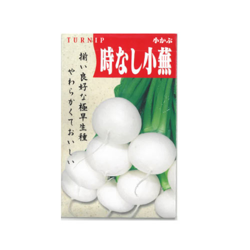 時なし小蕪