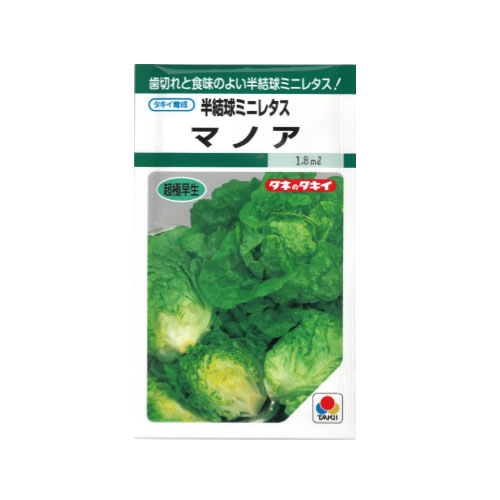 タキイ種苗 マノア レタス