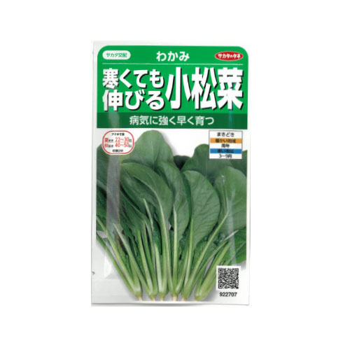 サカタのタネ わかみ 小松菜