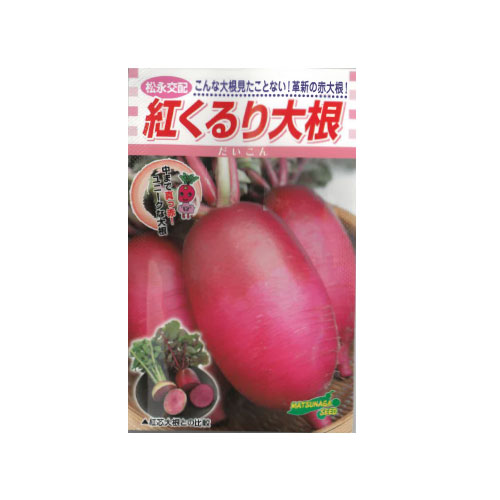 紅くるり大根