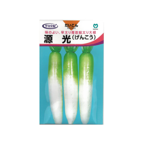 丸種 源光 ダイコン