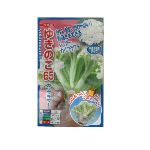 ナント種苗 ゆきのこ65 カリフラワー