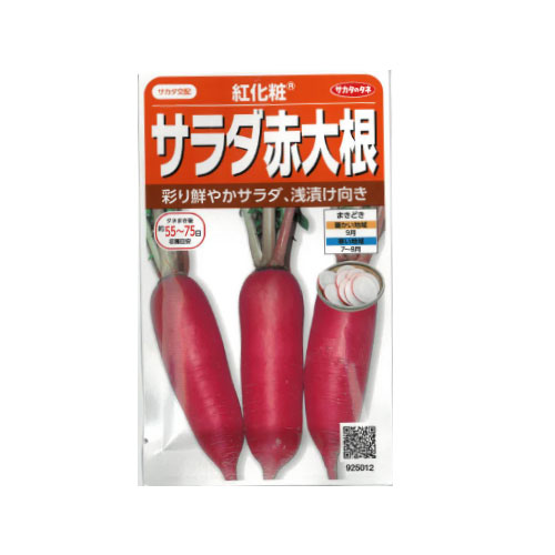 サカタのタネ 紅化粧 サラダ赤大根
