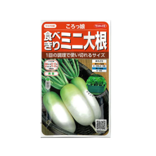 サカタのタネ ころっ娘 ミニダイコン