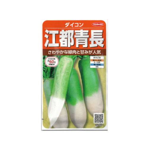 サカタのタネ 紅都青長 ダイコン