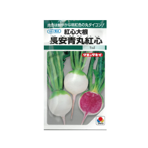 タキイ種苗 長安青丸紅心 ダイコン