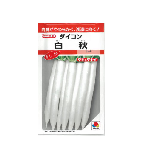 タキイ種苗 白秋 ダイコン