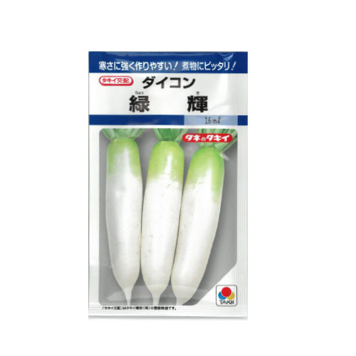 タキイ種苗 緑輝 ダイコン
