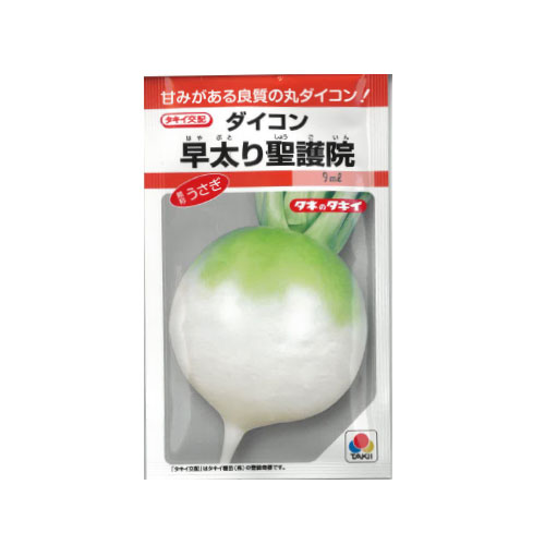 タキイ種苗 早太り聖護院 ダイコン