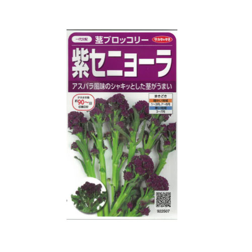 サカタのタネ 紫セニョーラ ブロッコリー