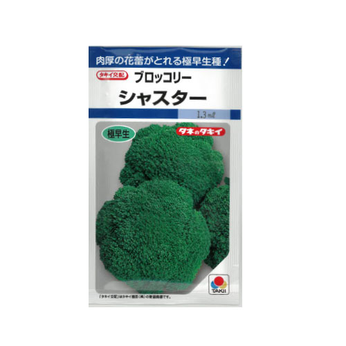 タキイ種苗 シャスター ブロッコリー