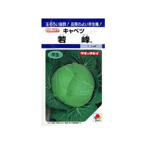 タキイ種苗 若峰 キャベツ