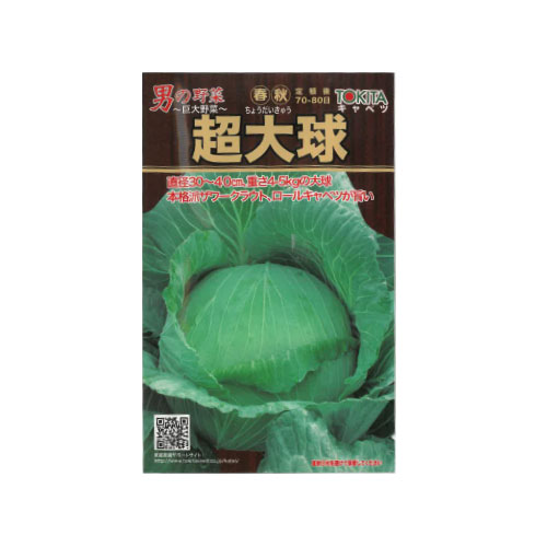 トキタ種苗 超大球 キャベツ