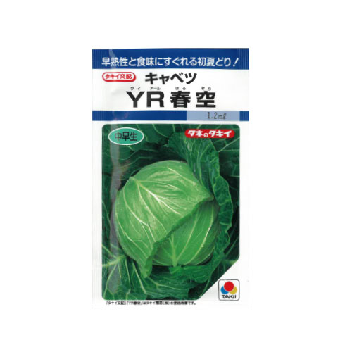 タキイ種苗 YR春空 キャベツ
