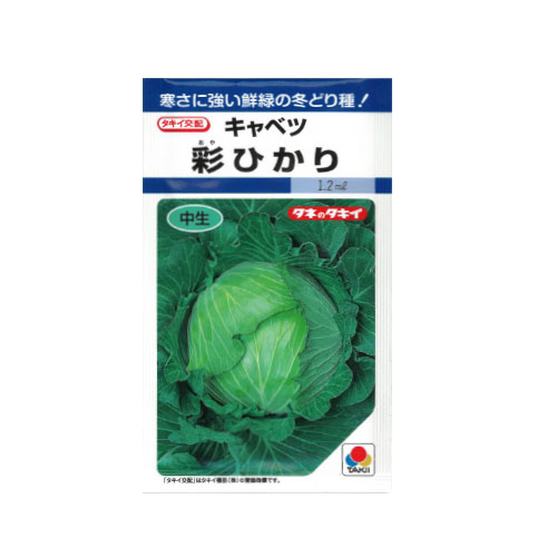 タキイ種苗 彩ひかり キャベツ