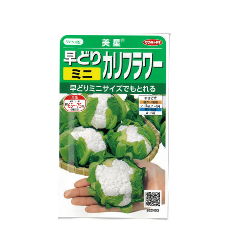 サカタのタネ 美星 ミニカリフラワー