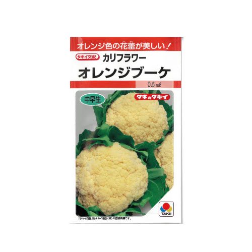 タキイ種苗 オレンジブーケ カリフラワー