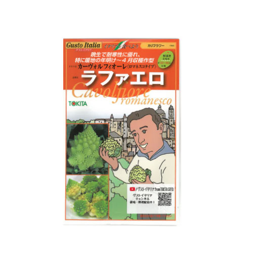トキタ種苗 ラファエロ ロマネスコ