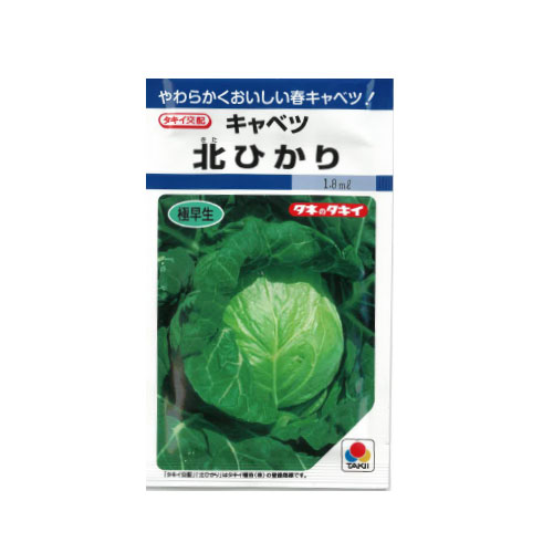 タキイ種苗 北ひかり キャベツ