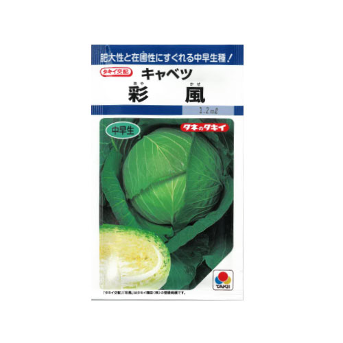 タキイ種苗 彩風 キャベツ