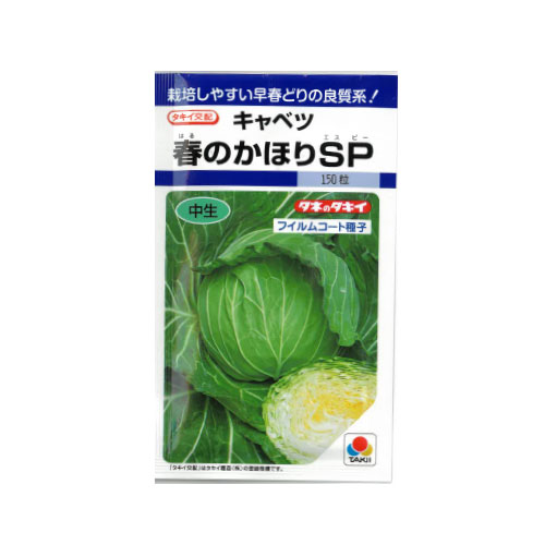 タキイ種苗 春のかほりSP キャベツ