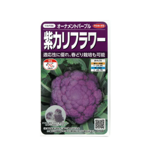 サカタのタネ オーナメントパープル 紫カリフラワー
