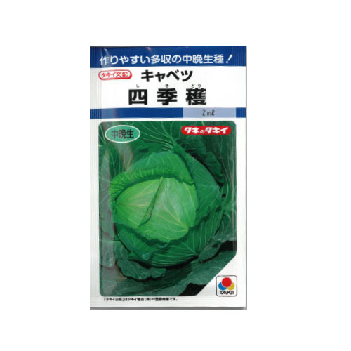 タキイ種苗 四季穫 キャベツ