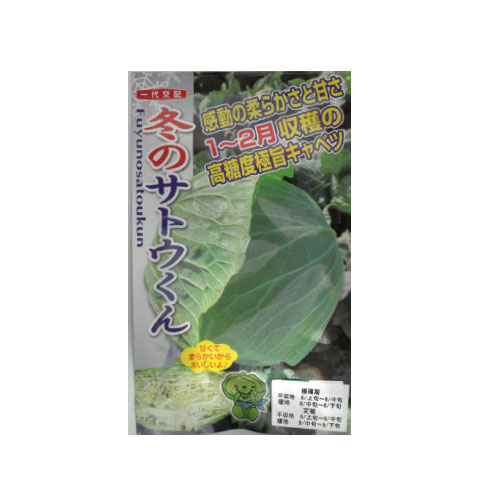 ナント種苗 冬のサトウくん キャベツ