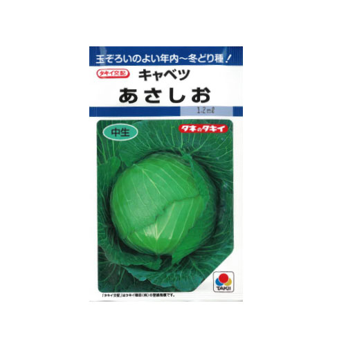 タキイ種苗 あさしお キャベツ