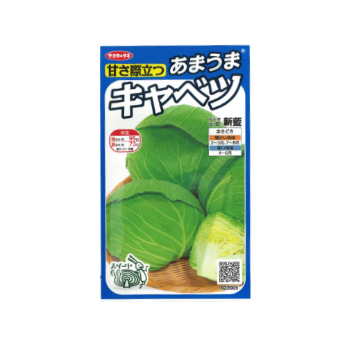 サカタのタネ 新藍 キャベツ
