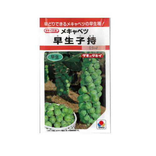 タキイ種苗 早生子持 芽キャベツ