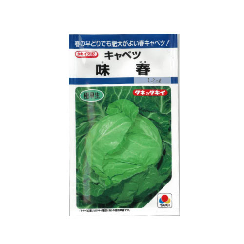 タキイ種苗 味春 キャベツ