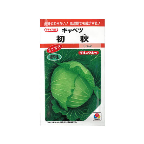 タキイ種苗 初秋 キャベツ