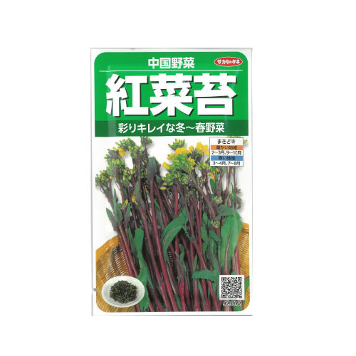サカタのタネ 紅菜苔