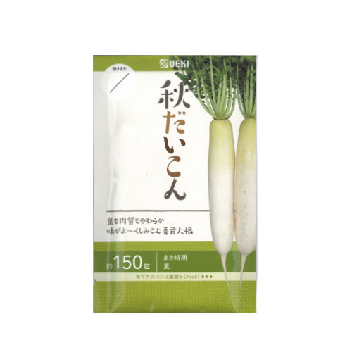 秋だいこん