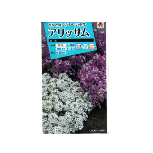 アリッサム 混合