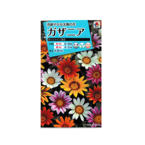 ガザニア サンシャイン混合