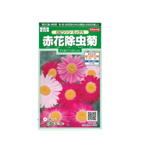 赤花除虫菊 ロビンソンミックス