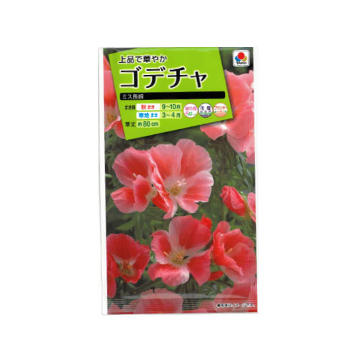 ゴデチャ ミス長崎